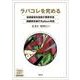 ラパコレを究める－技術認定を目指す標準手技，困難例を制すBailout手技（Web動画付） [単行本]
