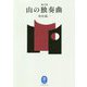 画文集 山の独奏曲(ヤマケイ文庫) [文庫]