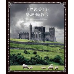 世界の美しい廃城・廃教会 [単行本]