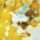 BUMP OF CHICKEN／Gravity/アカシア