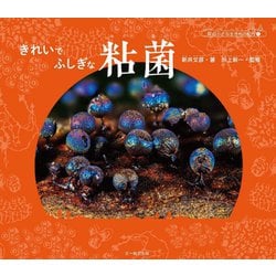 きれいでふしぎな粘菌(森の小さな生きもの紀行〈1〉) [単行本]