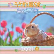 うさぎと暮らすカレンダー 2021 [カレンダー]