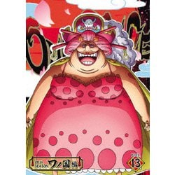 ヨドバシ Com One Piece ワンピース thシーズン ワノ国編 Piece 13 Dvd 通販 全品無料配達