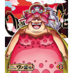 ヨドバシ Com One Piece ワンピース thシーズン ワノ国編 Piece 13 Blu Ray Disc 通販 全品無料配達