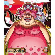 ONE PIECE ワンピース 20THシーズン ワノ国編 PIECE.13