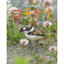 コチドリ(教科書にのってるどうぶつの赤ちゃん〈6〉) [全集叢書]