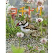 コチドリ(教科書にのってるどうぶつの赤ちゃん〈6〉) [全集叢書]