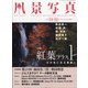 風景写真 2020年 11月号 [雑誌]