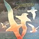 シーウインド／海鳥