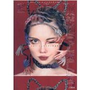 エレン・イン・シェイドリンランド－エレン・シェイドリン作品集 [単行本]