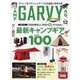 ガルヴィ 2020年 12月号 [雑誌]