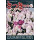 さつき研究 2020年 12月号 [雑誌]