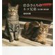 岩合さんちのネコ兄弟―玉三郎と智太郎(IWAGO'S BOOK) [単行本]