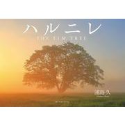 ハルニレ THE ELM TREE [単行本]