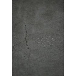 内藤礼―うつしあう創造 [単行本]