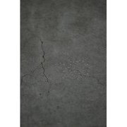 内藤礼―うつしあう創造 [単行本]