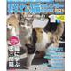 群れ猫カレンダーMOOK 2021-南幅俊輔Presents 貼っても読んでも楽しめる猫満載ビジュアルMOOK（SUNエンタメMOOK） [カレンダー]