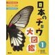 日本のチョウ大図鑑〈1〉アゲハチョウ・シロチョウ・シジミチョウ [図鑑]