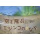 空を飛ぶミジンコのなぞ [絵本]