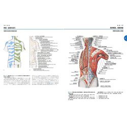 ヨドバシ.com - ソボッタ解剖学アトラス 原書24版 第1巻 全身解剖