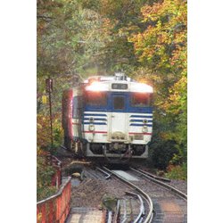鉄道アーカイブシリーズ71 只見線の車両たち 秋冬 越後篇 只見線(只見～小出) [DVD]