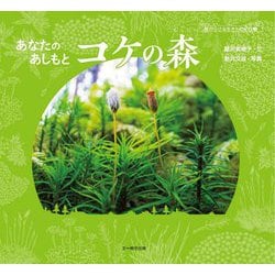 あなたのあしもとコケの森(森の小さな生きもの紀行〈3〉) [単行本]
