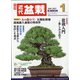 近代盆栽 2021年 01月号 [雑誌]