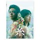 糸 [DVD]