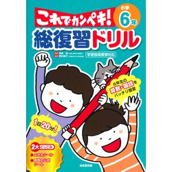 総復習ドリル これでカンペキ！ 小学6年 [全集叢書]