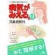 耳鼻咽喉科(病気がみえる〈13〉) [単行本]
