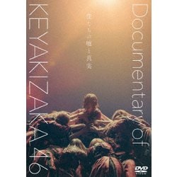 欅坂46／僕たちの嘘と真実 Documentary of 欅坂46 スペシャル・エディション [DVD]