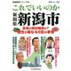 これでいいのか新潟県新潟市―変革か現状維持か?個性が異なる8区の事情(地域批評シリーズ〈59〉) [文庫]