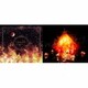 Aimer／Walpurgis