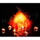 Aimer／Walpurgis