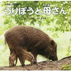 うりぼうと母さん―矢野誠人の写真絵本 [絵本]