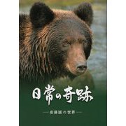日常の奇跡―安藤誠の世界 [単行本]