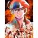 はたらく細胞BLACK 1 [DVD]