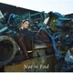 安田レイ／Not the End