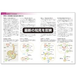ヨドバシ.com - カラー図解 人体の正常構造と機能 全10巻縮刷版 第4版 