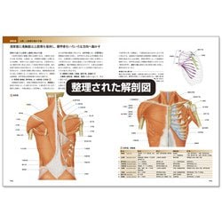 ヨドバシ Com カラー図解 人体の正常構造と機能 全10巻縮刷版 第4版 単行本 通販 全品無料配達