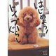はじめよう!トイプーぐらし [単行本]