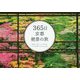 365日京都絶景の旅 [単行本]