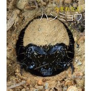 うまれたよ!ハンミョウ(よみきかせいきものしゃしんえほん〈40〉) [絵本]