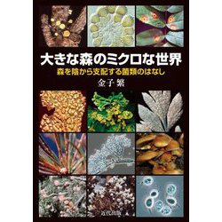 大きな森のミクロな世界―森を陰から支配する菌類のはなし [単行本]