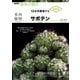 多肉植物サボテン（NHK趣味の園芸 12か月栽培ナビNEO） [全集叢書]