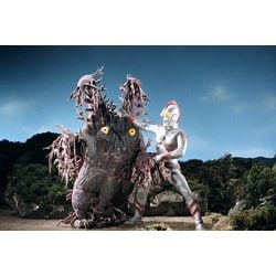 ヨドバシ.com - ウルトラマン80 相原京子/ノンちゃん写真集