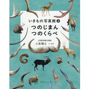いきもの写真館〈3〉つのじまんつのくらべ [単行本]