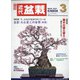 近代盆栽 2021年 03月号 [雑誌]