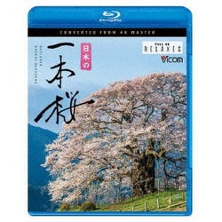 日本の一本桜 4K撮影作品 (ビコム Relaxes) [Blu-ray Disc]