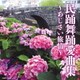 民踊舞踊愛曲集 ～あじさい旅情～